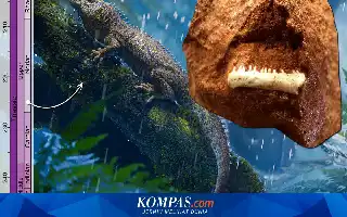 Penemuan Fosil Mikro Ungkap Evolusi Reptil Purba Berusia 225 Juta Tahun