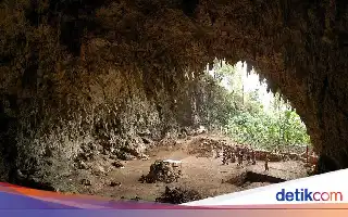 Studi Baru Ungkap Perilaku Makan 'Manusia Hobbit' Flores: Pemulung, Bukan Pemburu