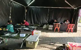 Kwarda Pramuka Bali Gelar Aksi Sosial Donor Darah dan Layanan Kesehatan Gratis di Gianyar